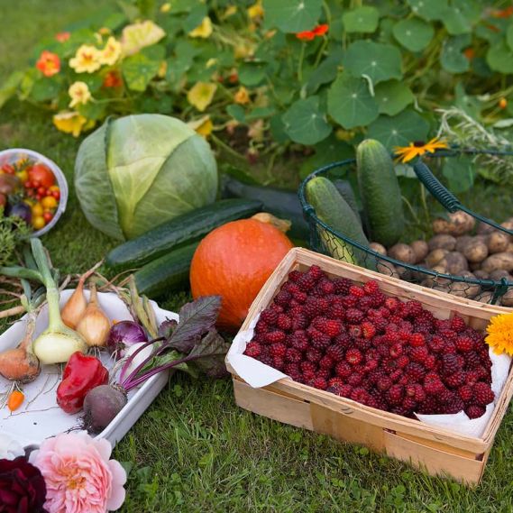 biodiversite-jardin-nourricier